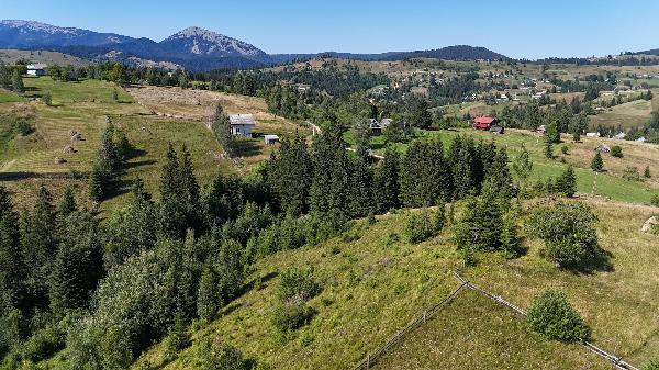 земля продам село Яблуниця, фото 8 з 9